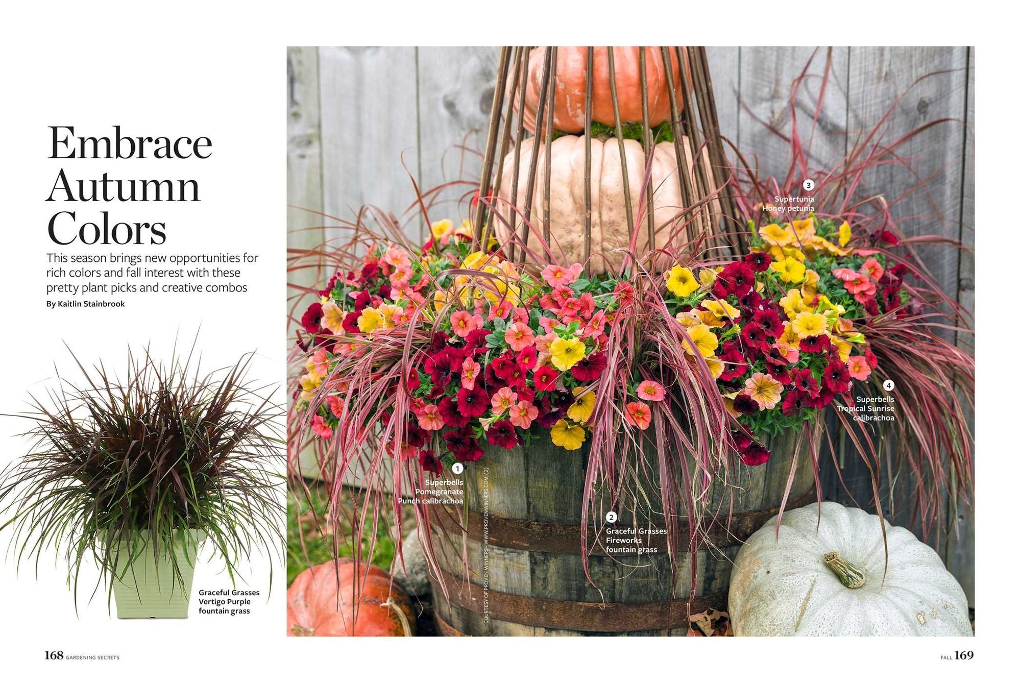 Birds & Blooms Gardening Secrets: All-Season Guide with Expert Tips and DIY Ideas for Thriving Gardens