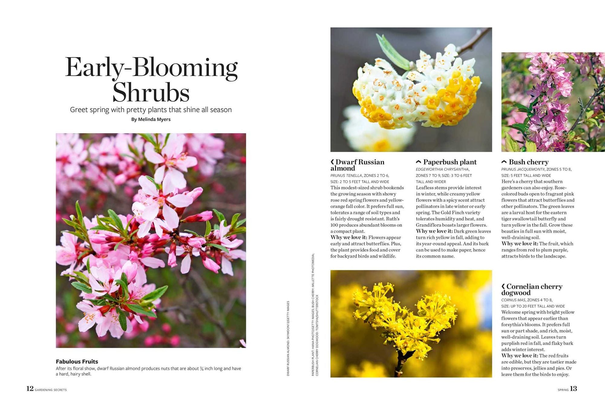 Birds & Blooms Gardening Secrets: All-Season Guide with Expert Tips and DIY Ideas for Thriving Gardens