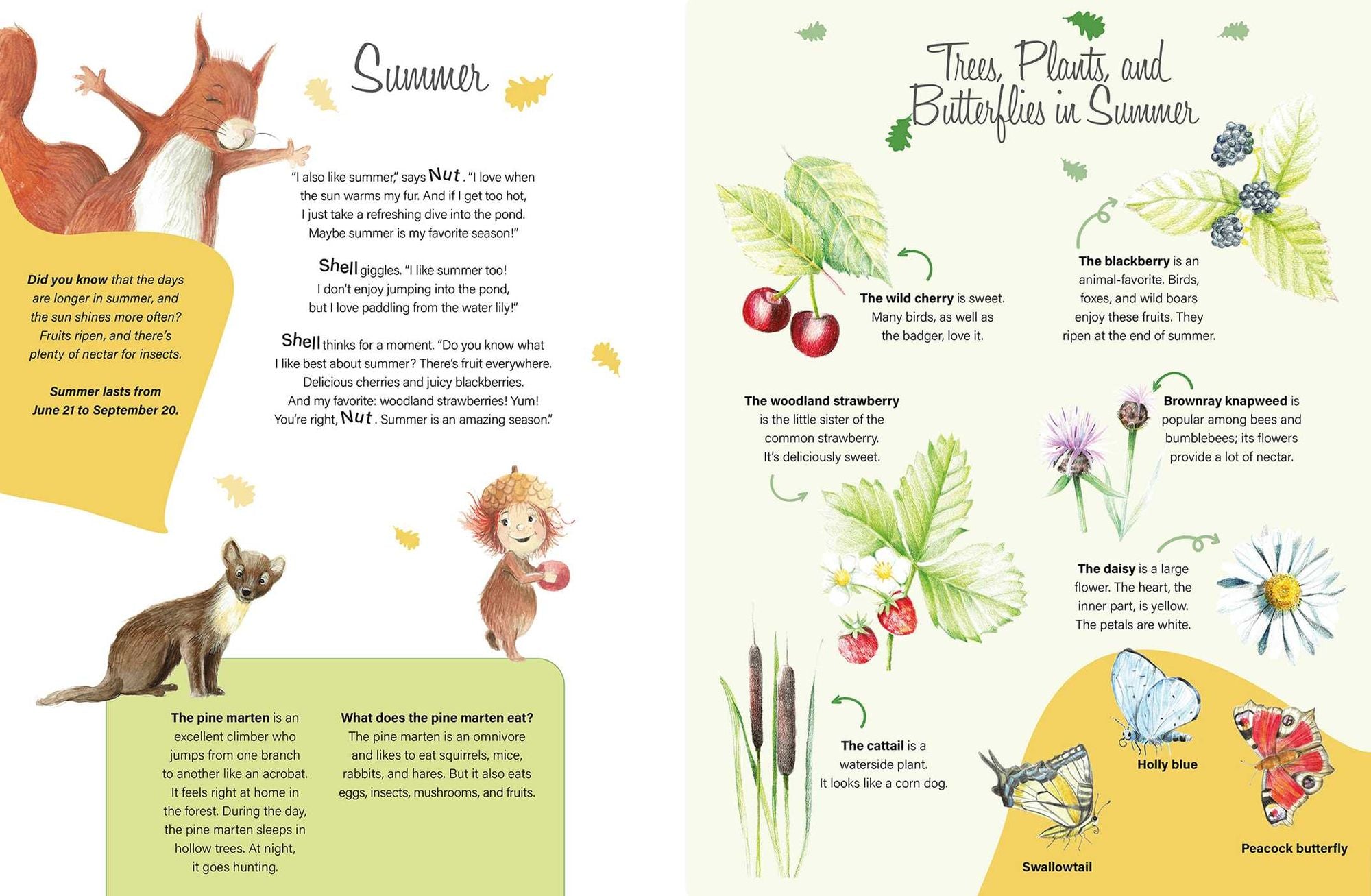 Through the Seasons with Nut and Shell