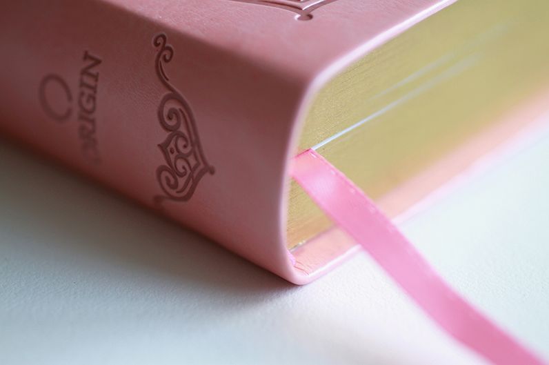 KJV Holy Bible, Giant Print Thinline Large format, Pink Premium Imitation Leather with Ribbon Marker, Red Letter, and Thumb Index
