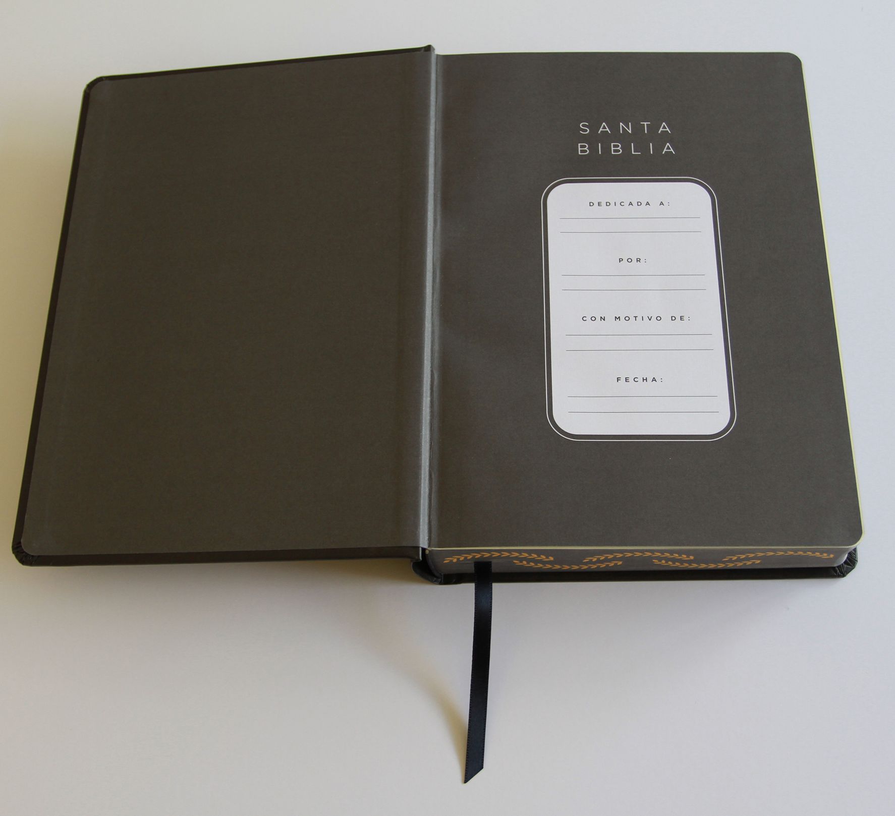 Biblia de apuntes RVR 1960 TD, Negro y oro (Edición cantos pintados) / Spanish Journaling Bible RVR 1960 HC Black and Gold