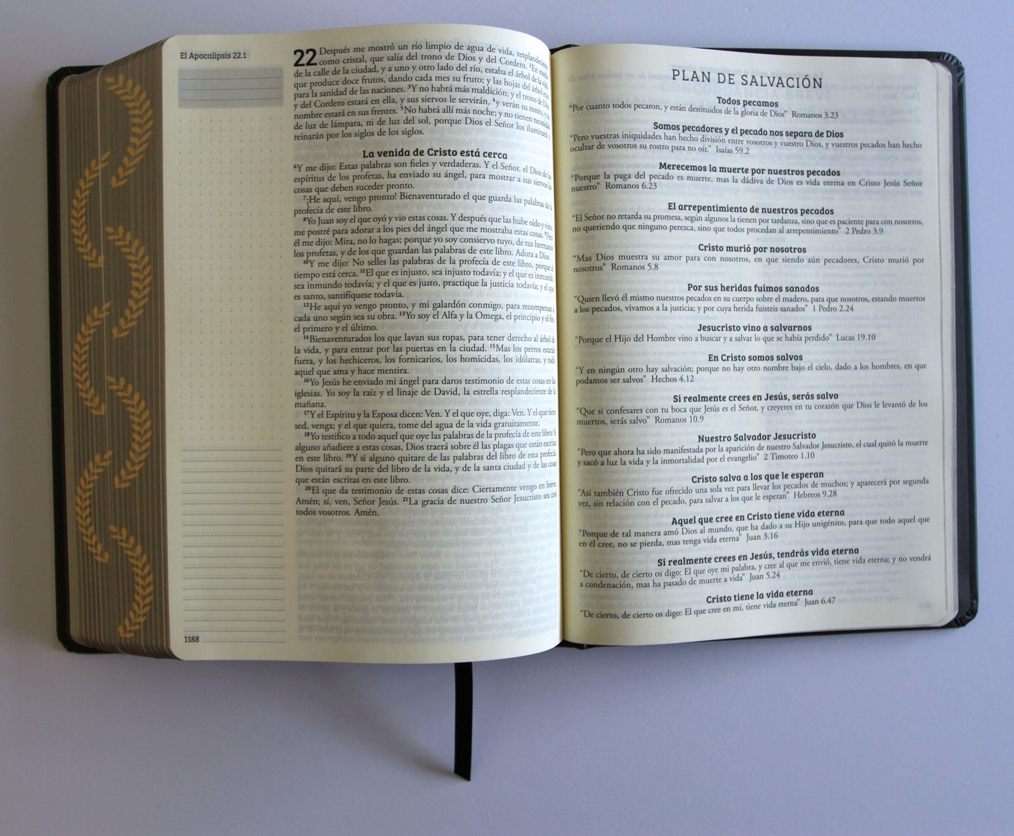 Biblia de apuntes RVR 1960 TD, Negro y oro (Edición cantos pintados) / Spanish Journaling Bible RVR 1960 HC Black and Gold
