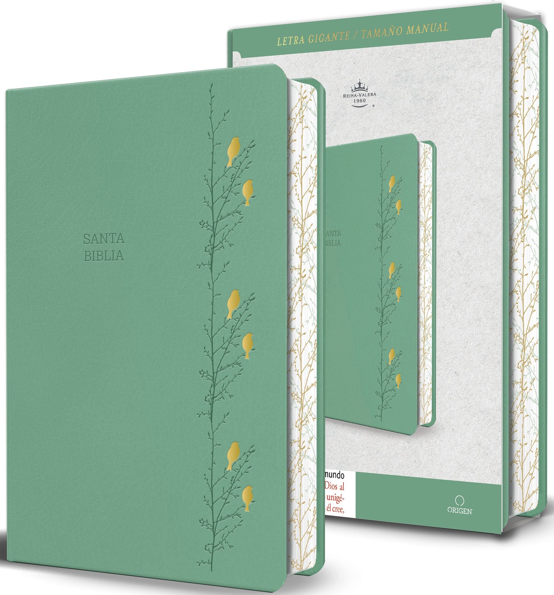 Biblia RVR 1960 Letra gigante símil piel verde con pájaros (Edición cantos pintados) / Spanish Bible RVR 1960 Giant Print Handy Size Leathersoft Green