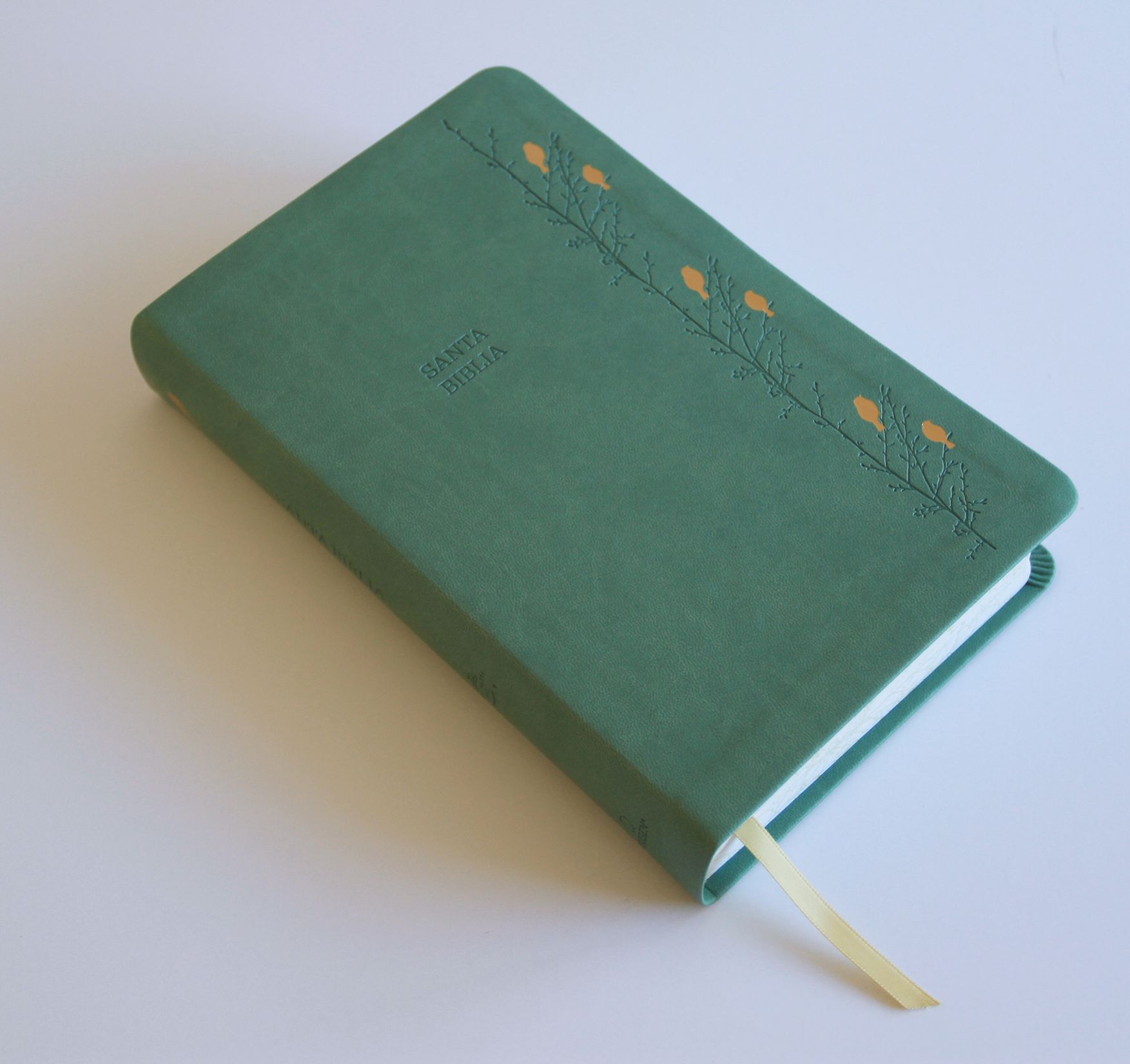 Biblia RVR 1960 Letra gigante símil piel verde con pájaros (Edición cantos pintados) / Spanish Bible RVR 1960 Giant Print Handy Size Leathersoft Green