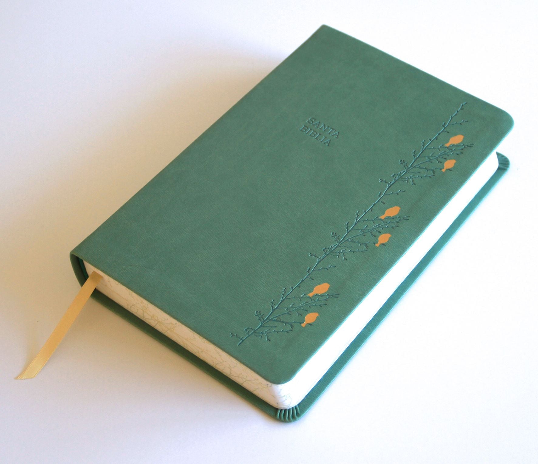 Biblia RVR 1960 Letra gigante símil piel verde con pájaros (Edición cantos pintados) / Spanish Bible RVR 1960 Giant Print Handy Size Leathersoft Green