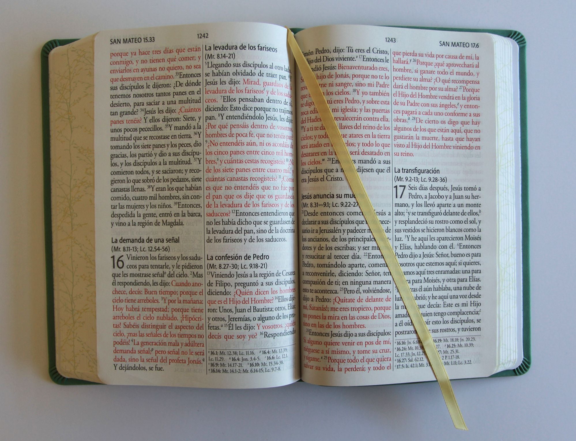 Biblia RVR 1960 Letra gigante símil piel verde con pájaros (Edición cantos pintados) / Spanish Bible RVR 1960 Giant Print Handy Size Leathersoft Green