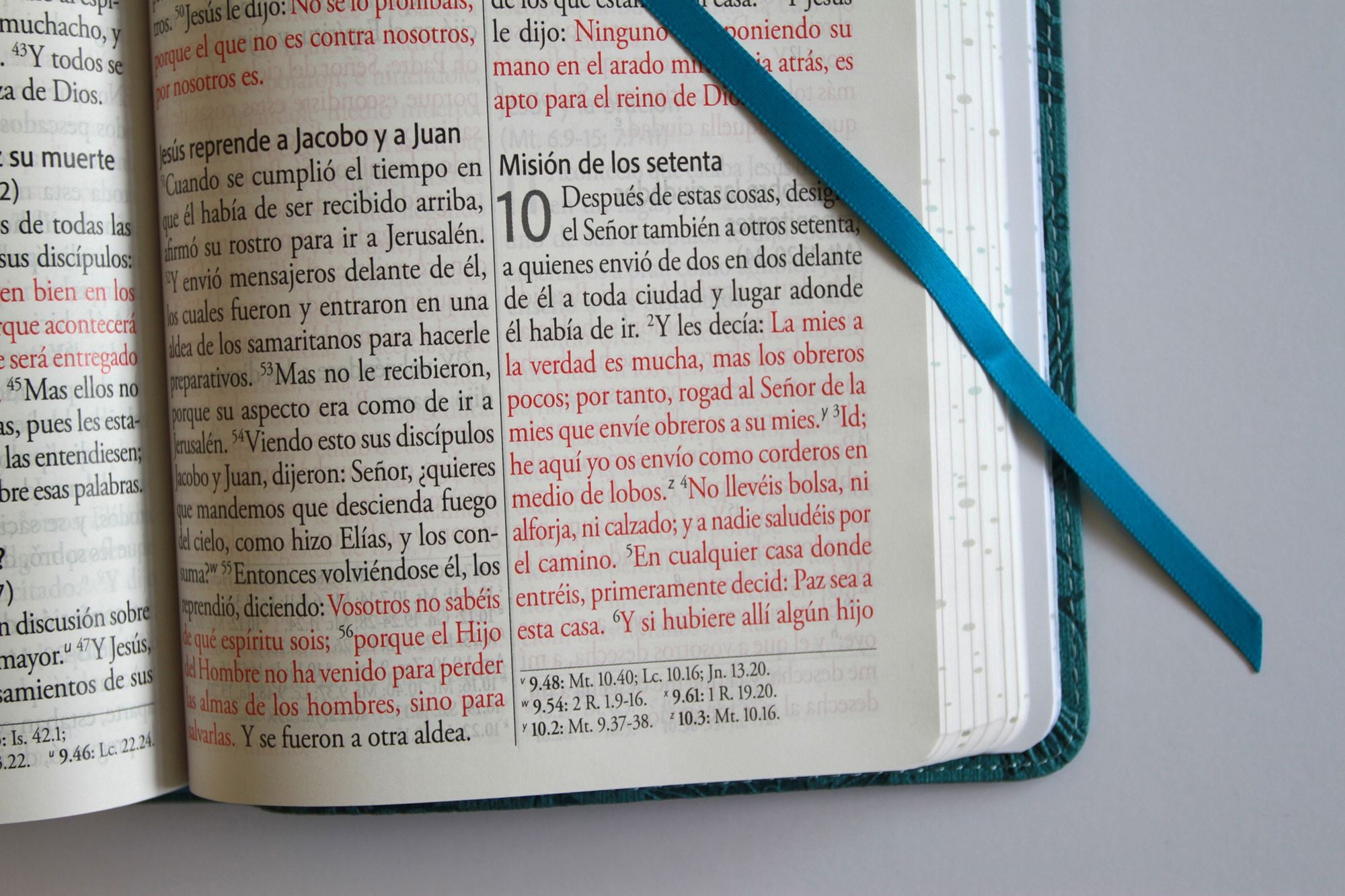 Biblia RVR 1960 Letra gigante, símil azul con Pájaros(Edición cantos pintados) / Spanish Bible RVR 1960 Giant Print Handy Size Leathersoft Light Blue