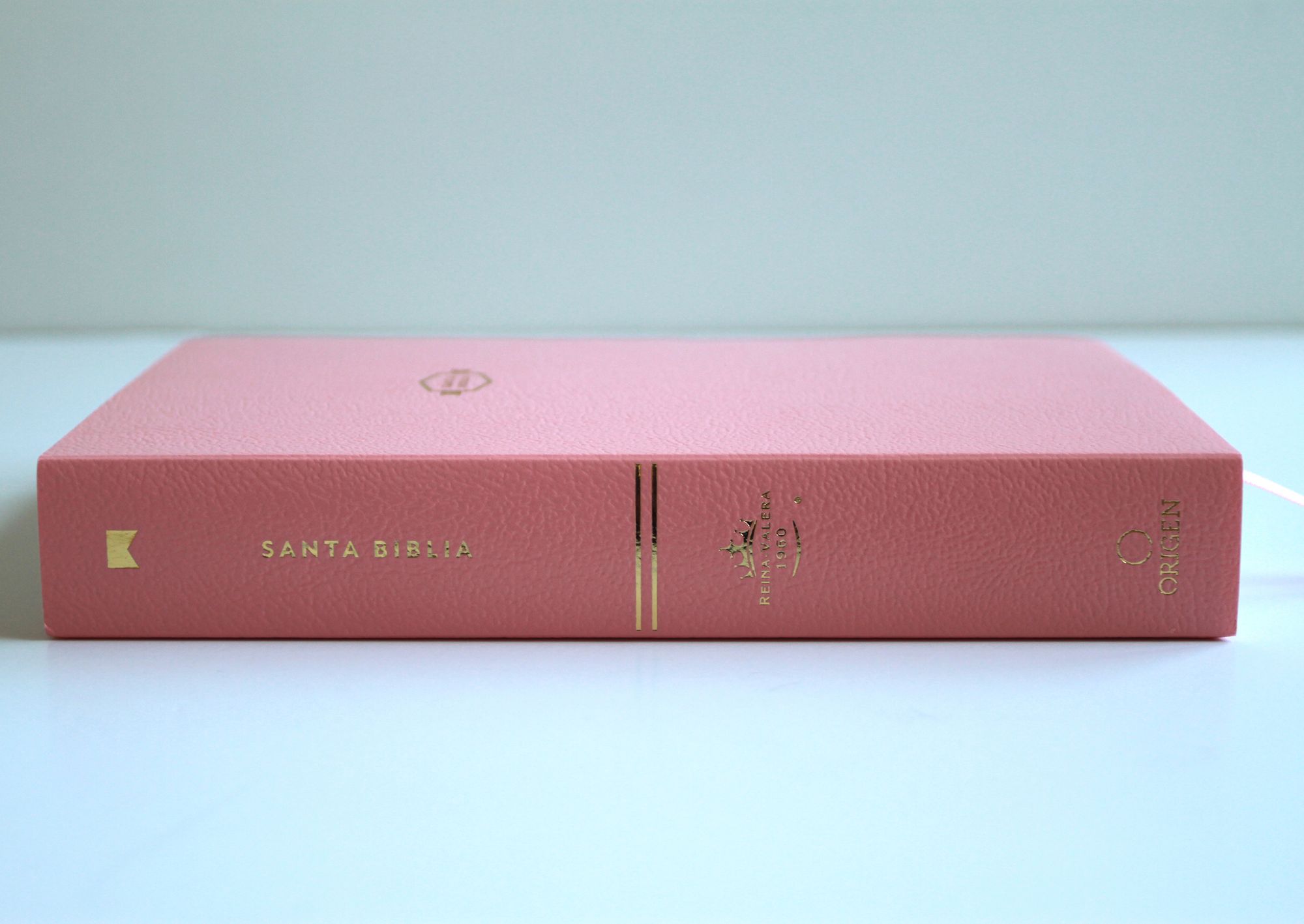 Biblia RVR 1960 para regalos y premios, rosada / Spanish Bible RVR 1960 Gift and Award Bible Pink