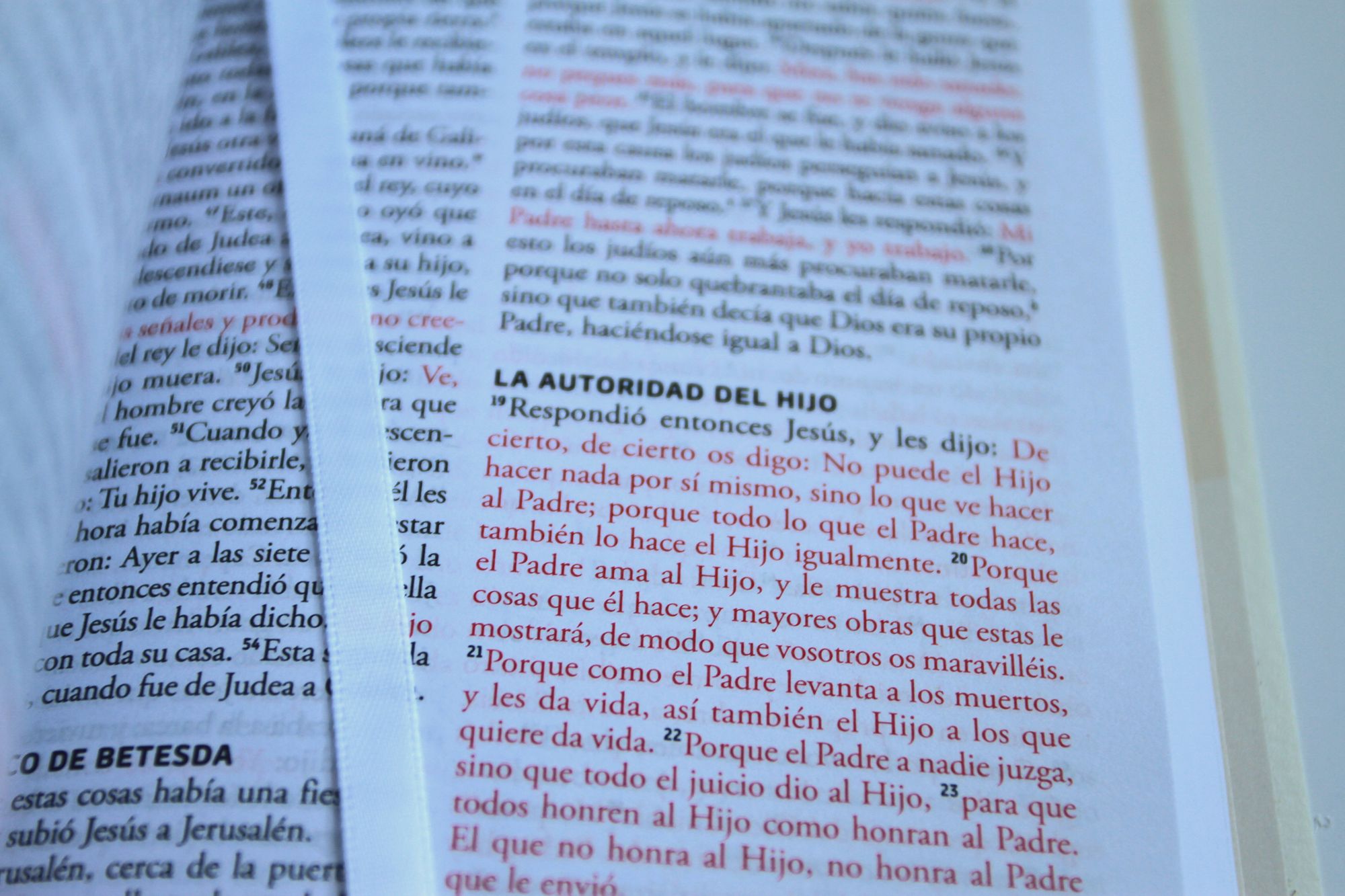 Biblia RVR 1960 para regalos y premios, blanca / Spanish Bible RVR 1960 Gift and Award Bible White