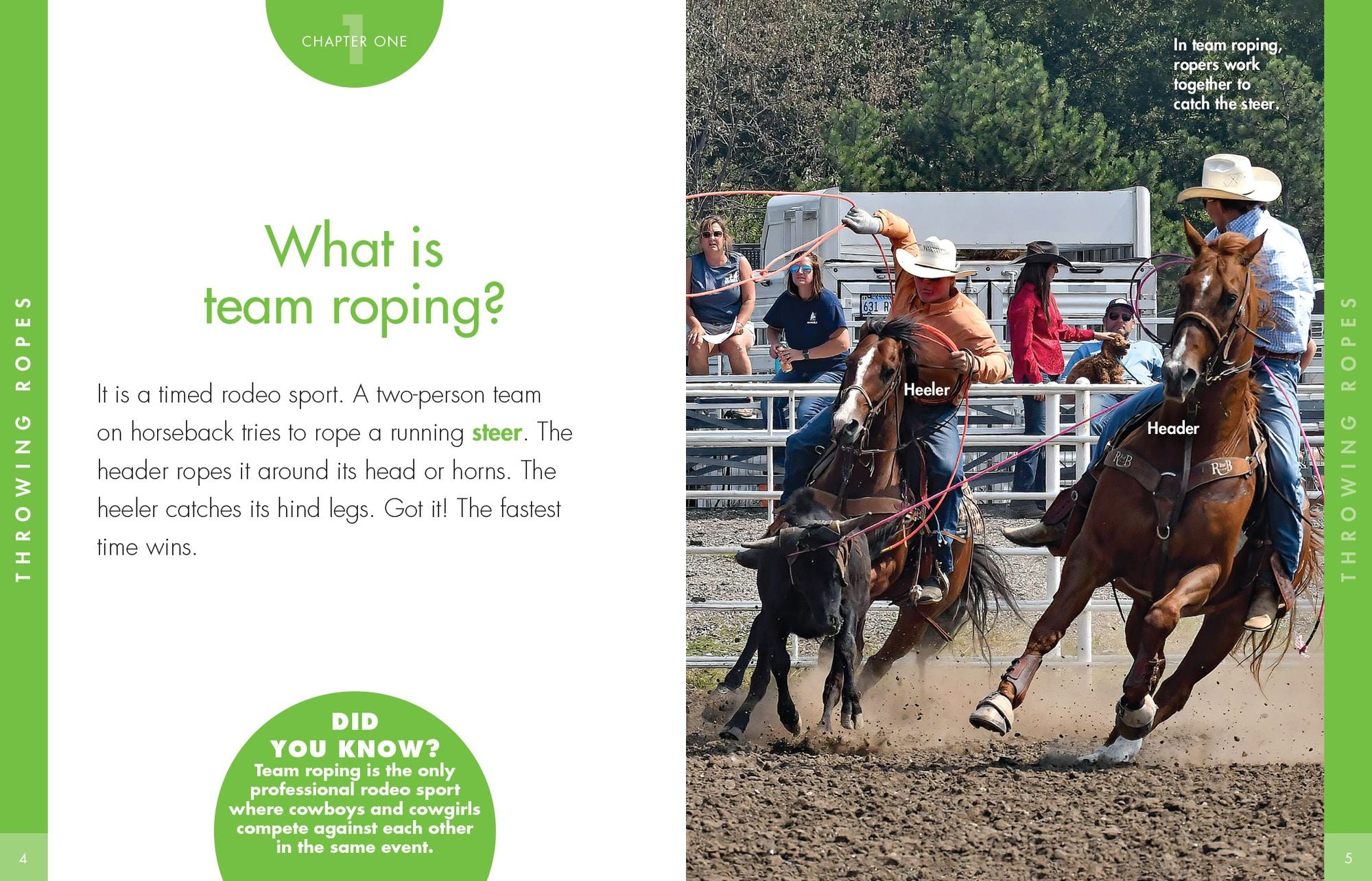 Curious about Team Roping
