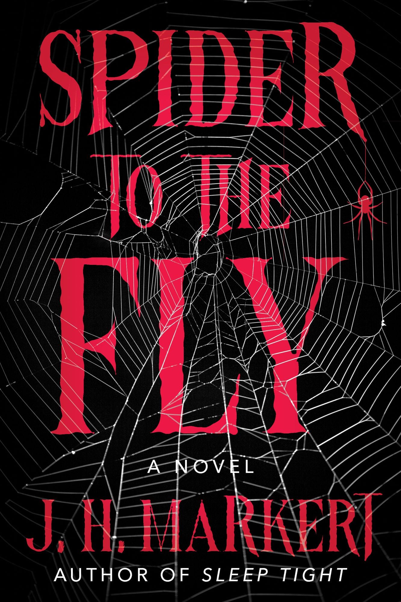 Spider to the Fly: A Novel