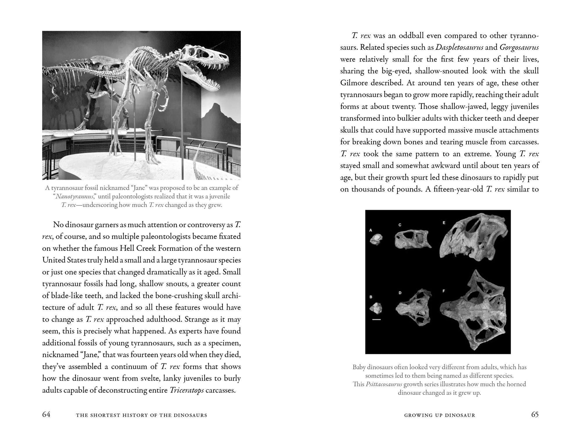 The Shortest History of the Dinosaurs: The 230-Million-Year Story of Their Time on Earth