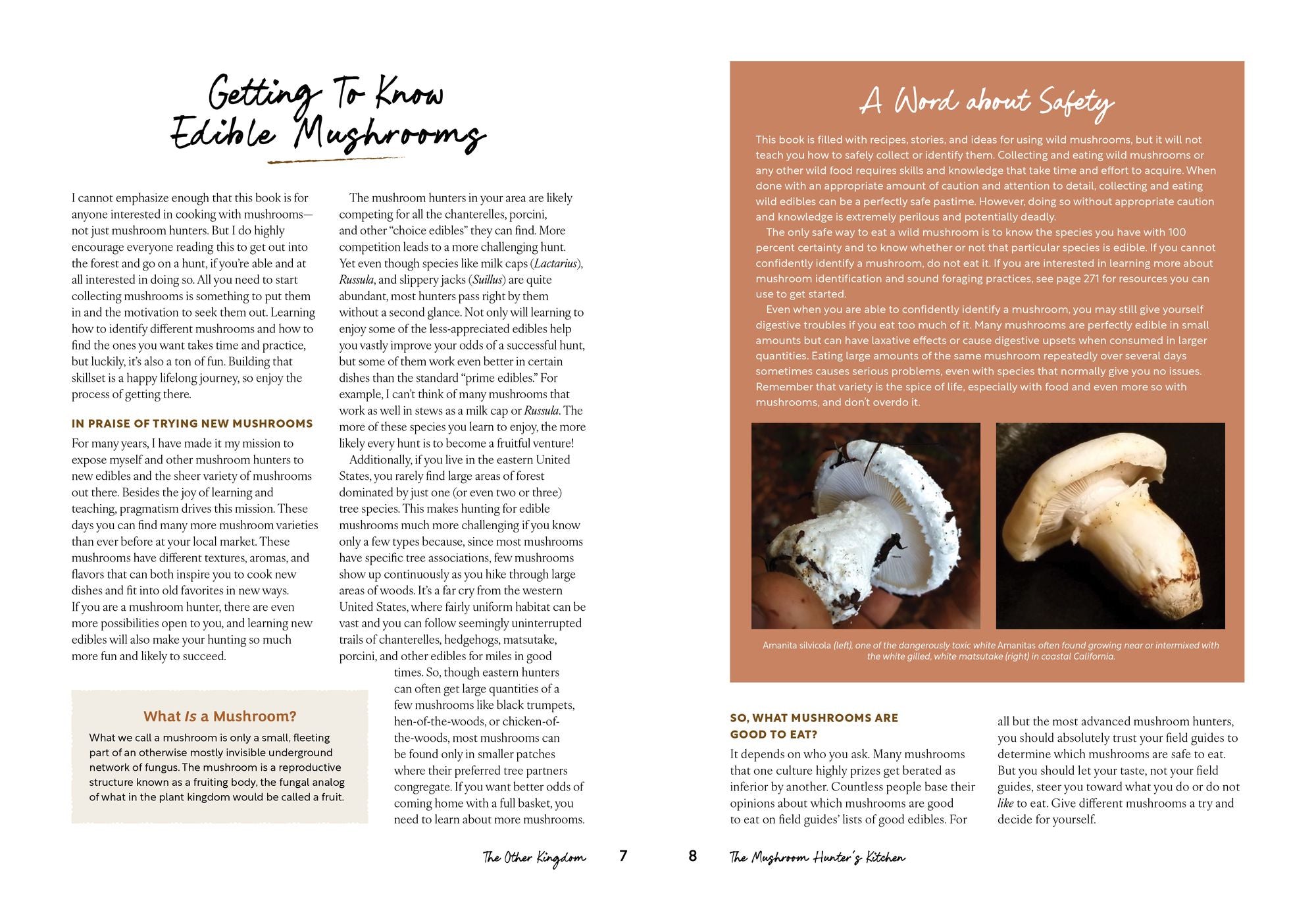 The Mushroom Hunter's Kitchen: A Culinary Homage to Wild and Cultivated Mushrooms - with 120 Recipes