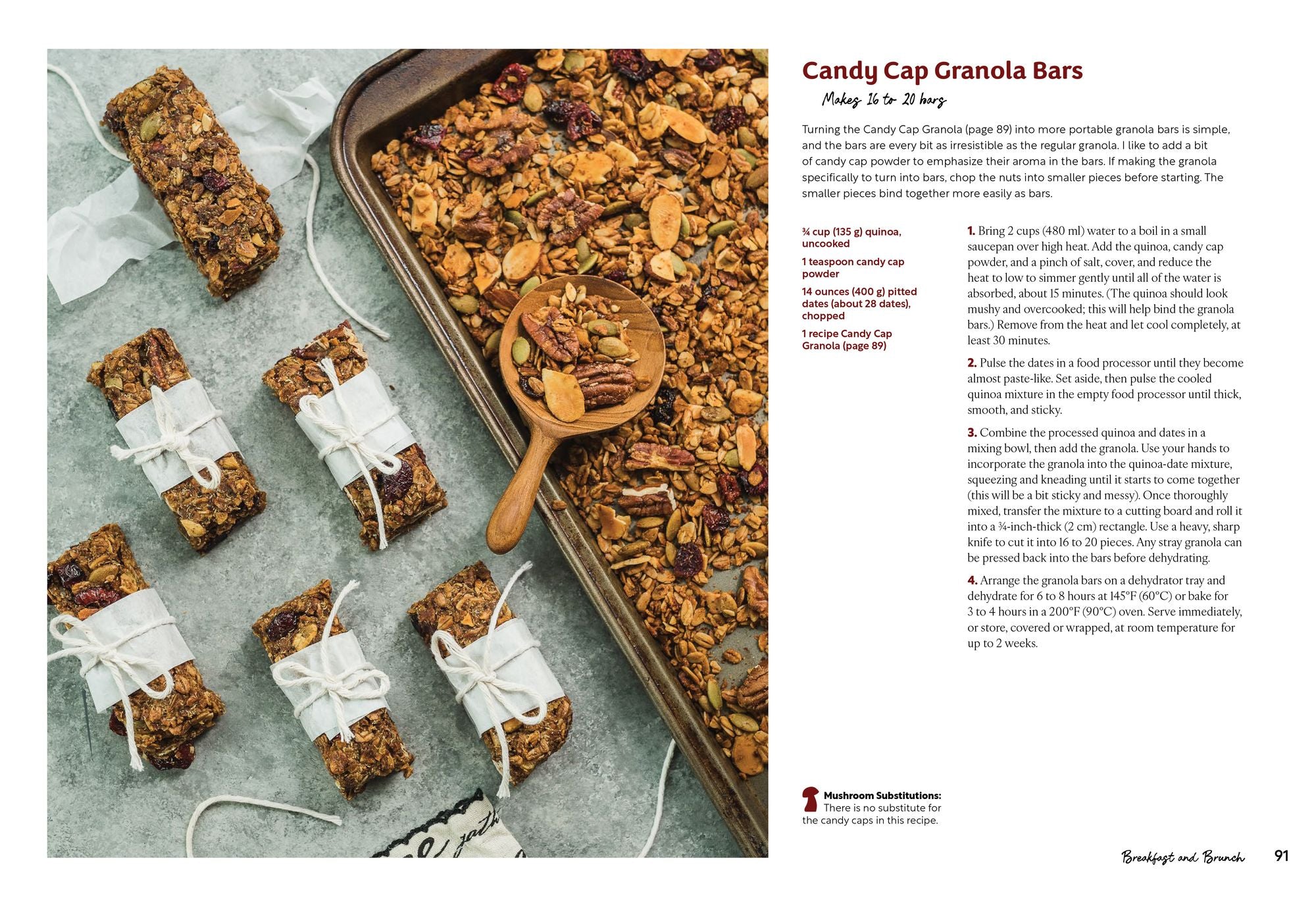 The Mushroom Hunter's Kitchen: A Culinary Homage to Wild and Cultivated Mushrooms - with 120 Recipes