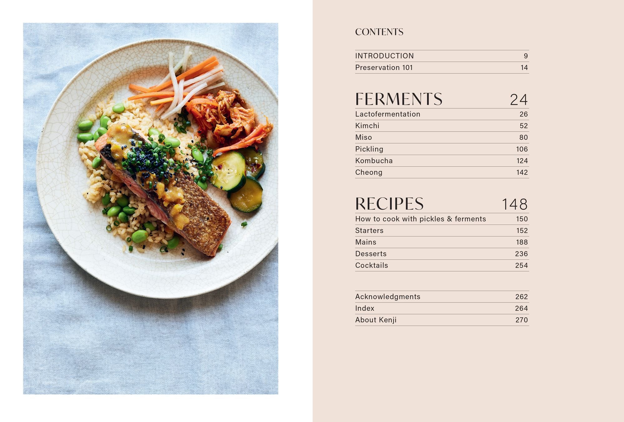 Ferment: Simple Recipes from My Multicultural Kitchen