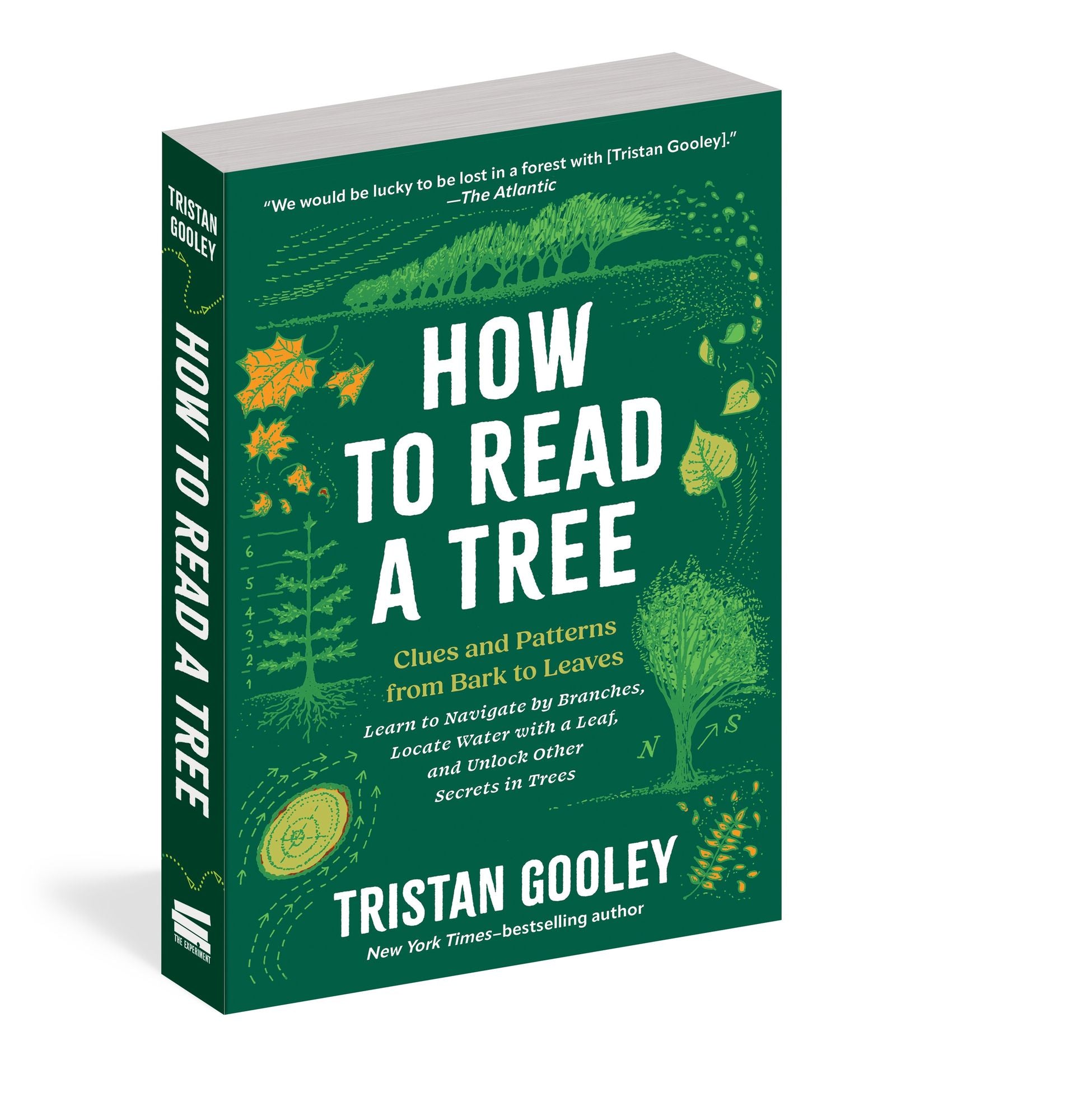 How to Read a Tree: Clues and Patterns from Bark to Leaves