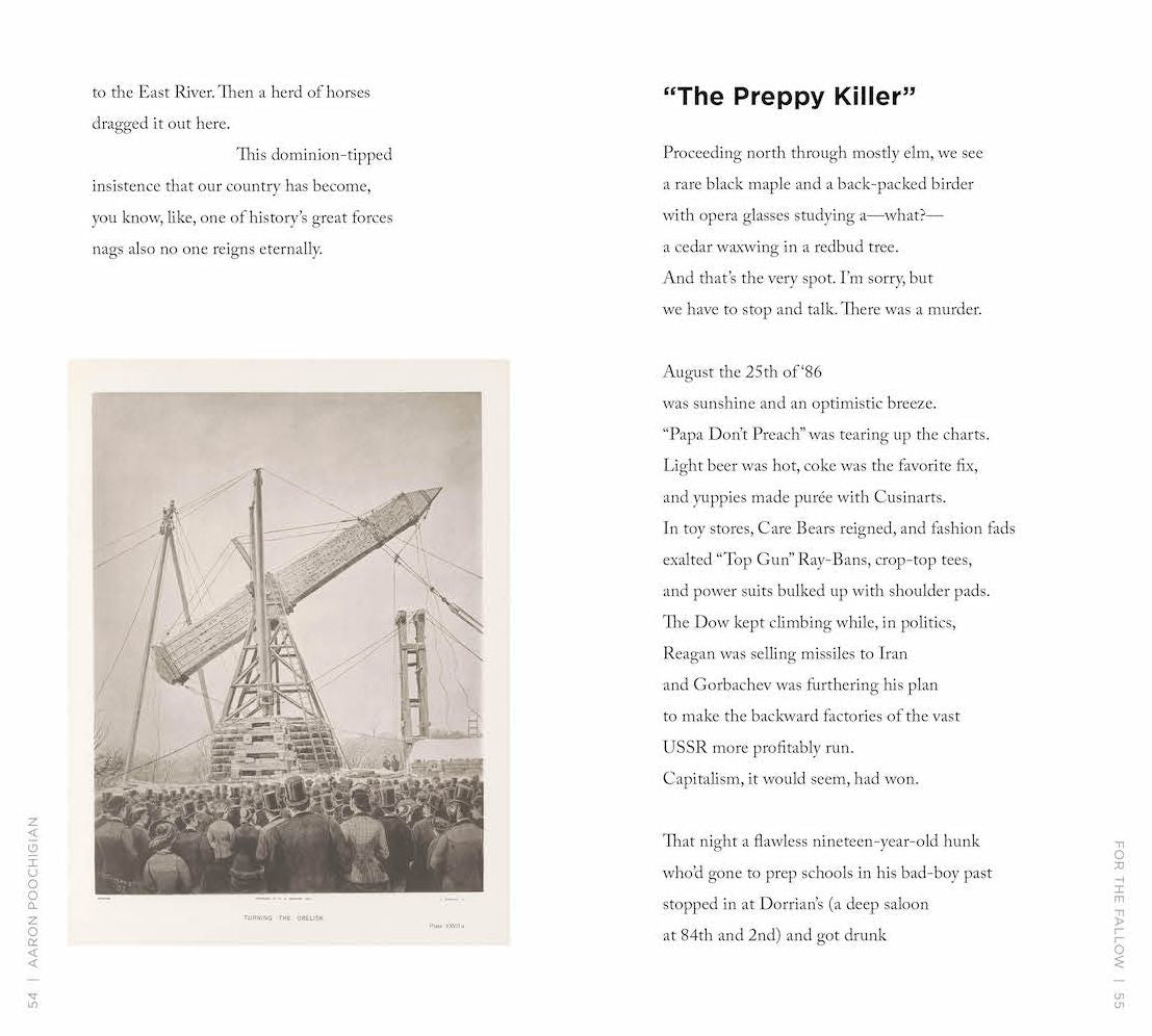 Four Walks in Central Park: A Poetic Guide to the Park