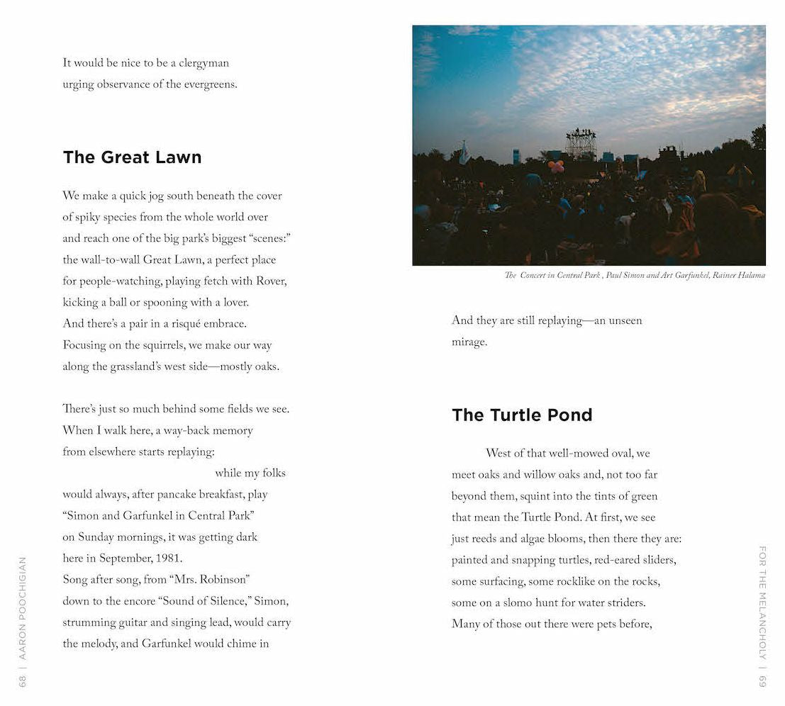 Four Walks in Central Park: A Poetic Guide to the Park