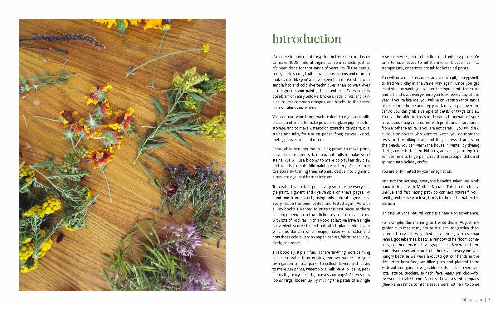 1000 Botanical Colors: Make Your Own Dyes, Paints, Inks, Stains, and Pottery Paints from 250 Plants