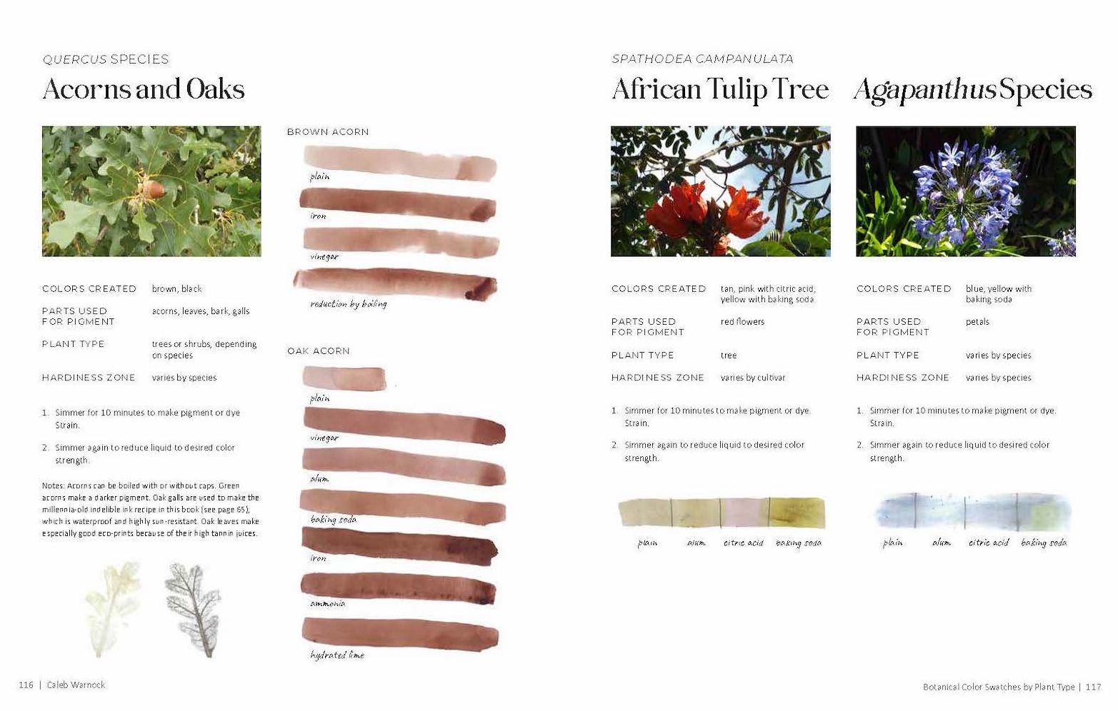 1000 Botanical Colors: Make Your Own Dyes, Paints, Inks, Stains, and Pottery Paints from 250 Plants