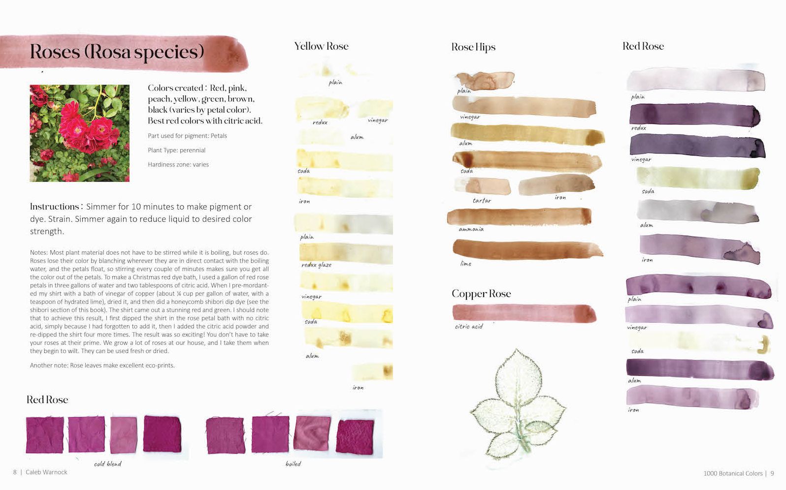 1000 Botanical Colors: Make Your Own Dyes, Paints, Inks, Stains, and Pottery Paints from 250 Plants