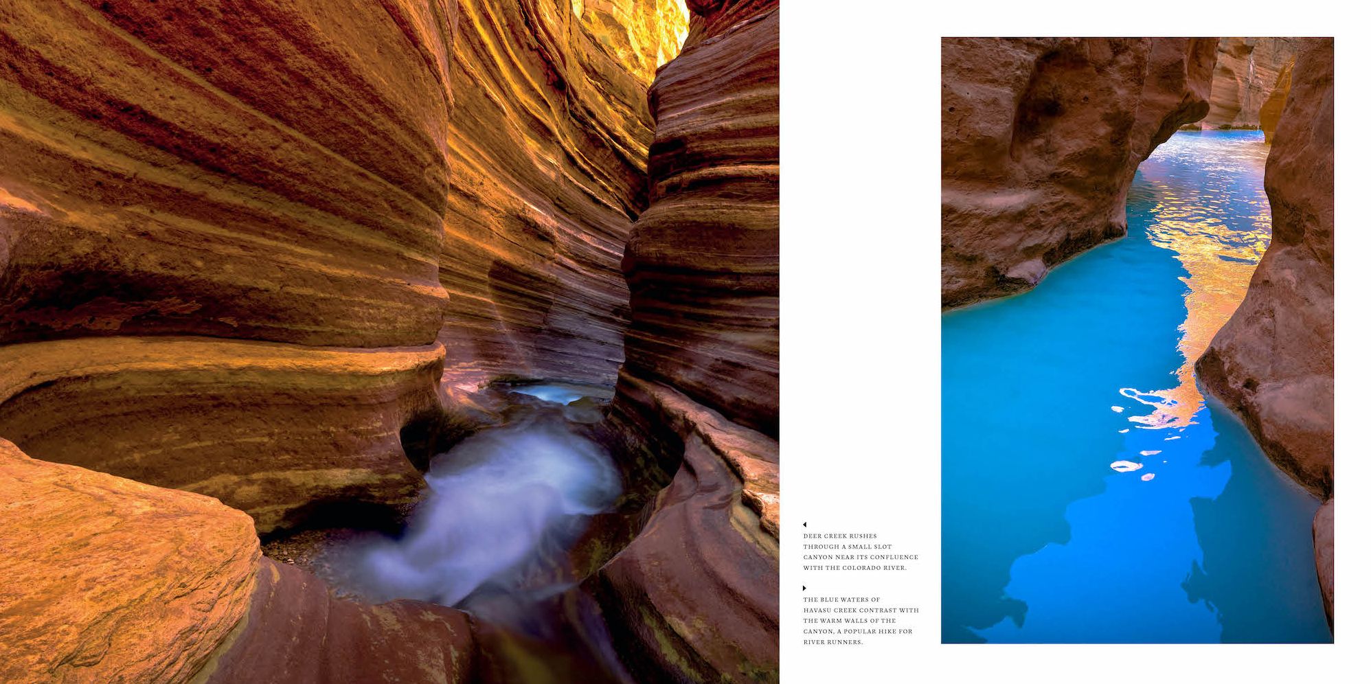 Arizona: Discover the Grand Canyon State