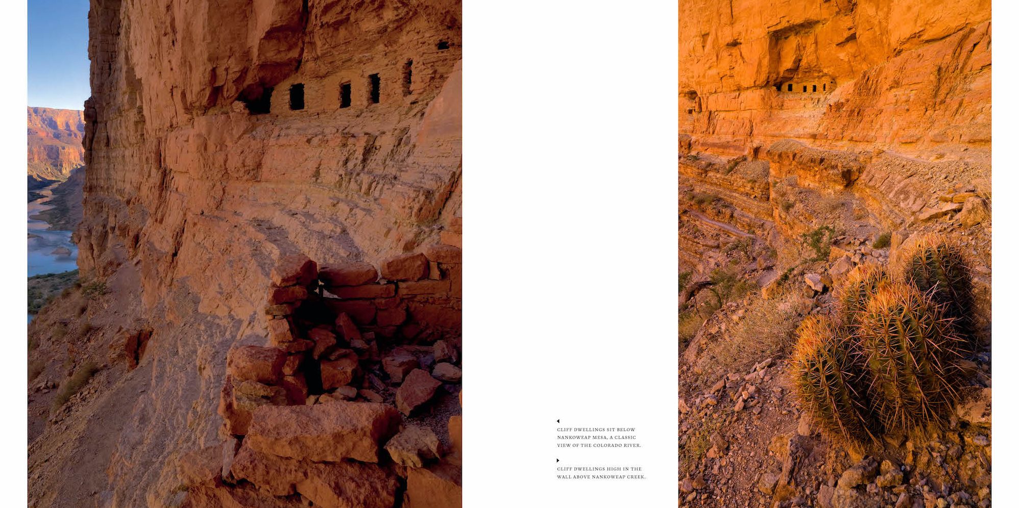 Arizona: Discover the Grand Canyon State