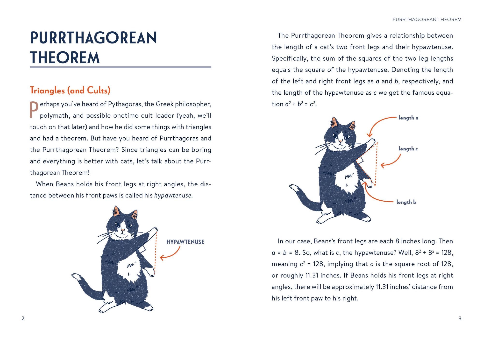 Math Cats: Scratching the Surface of Mathematical Concepts