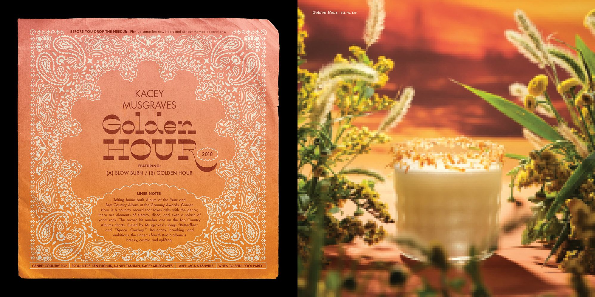 Booze & Vinyl Country: 100+ Spirited Music-and-Drink Pairings