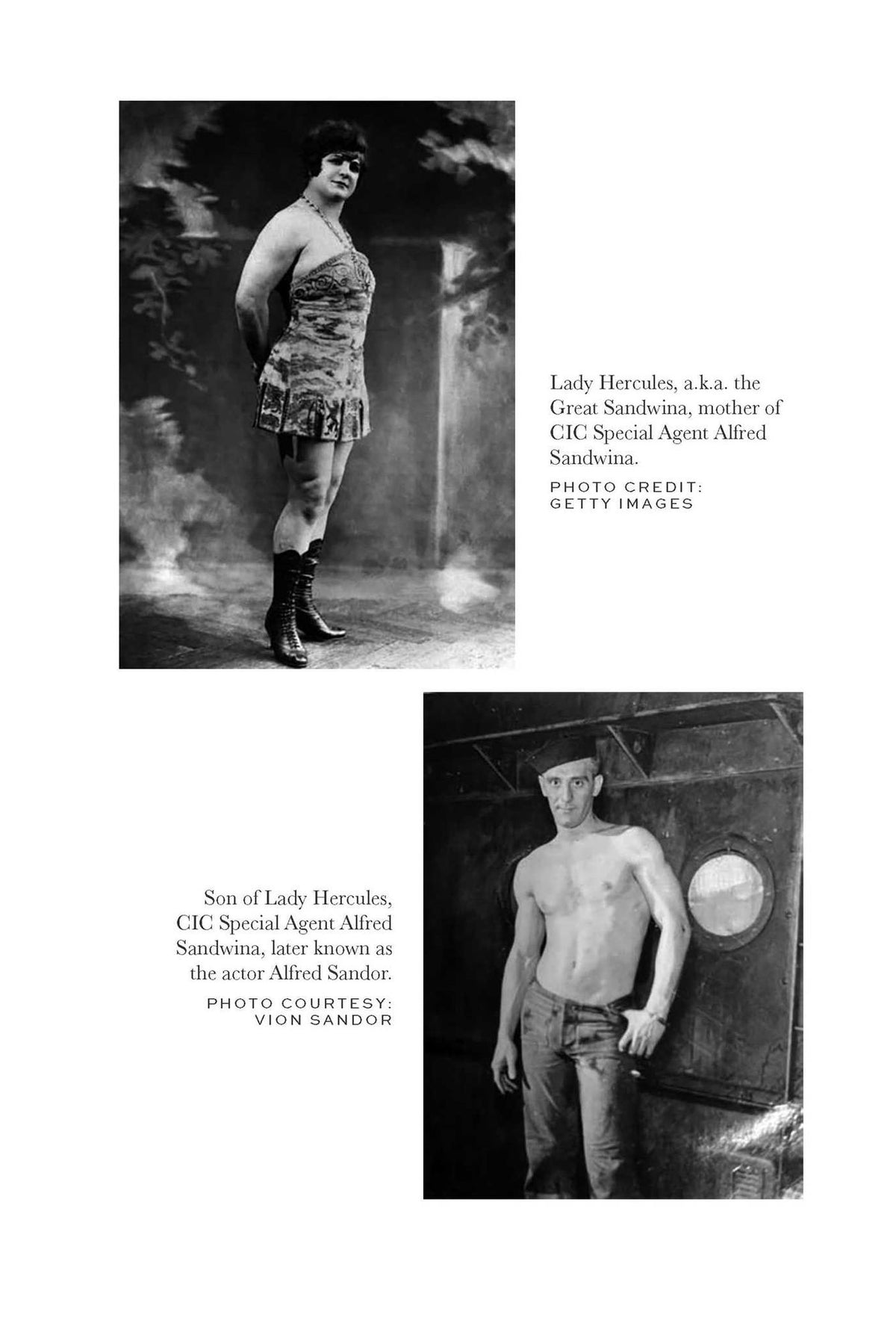They Shall Not See the Dawn: The Manhunt for the Third Reich's Most Wanted