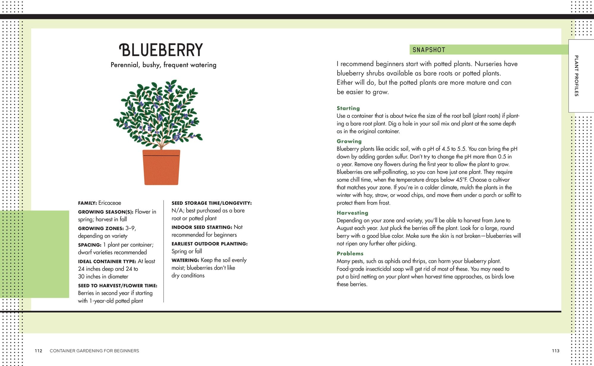 Container Gardening for Beginners: How to Grow a Lot from a Little