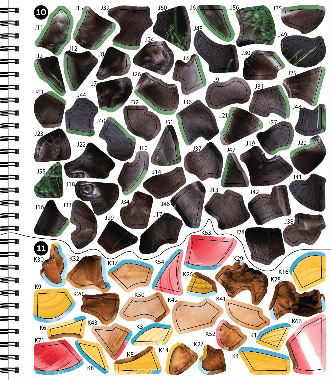Sticker By Number All You Need is Dogs