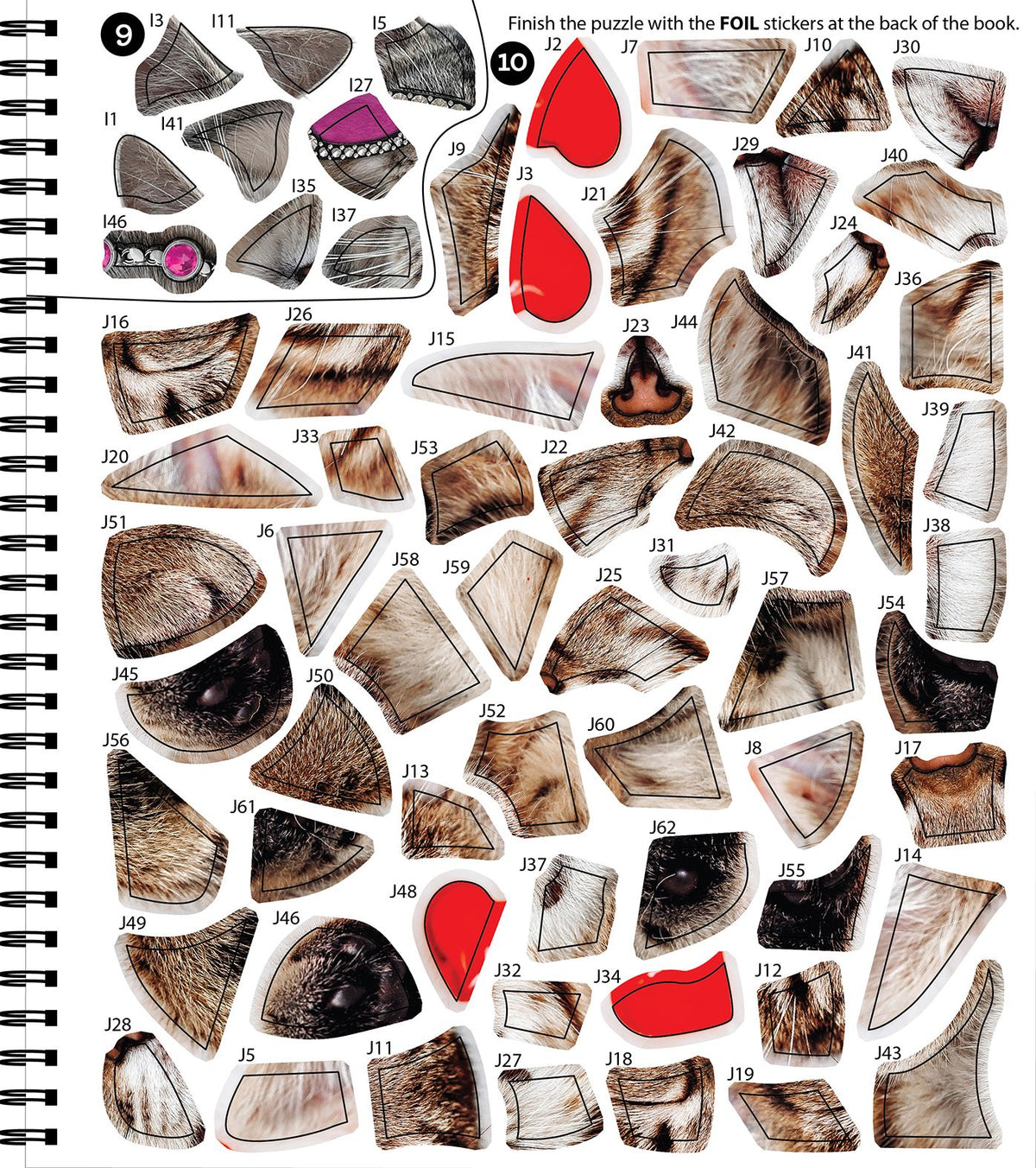Sticker By Number Purr Parazzi