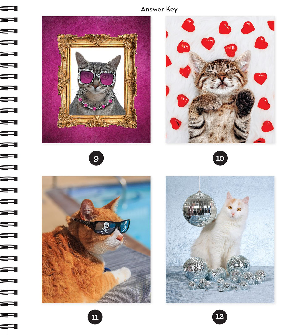 Sticker By Number Purr Parazzi