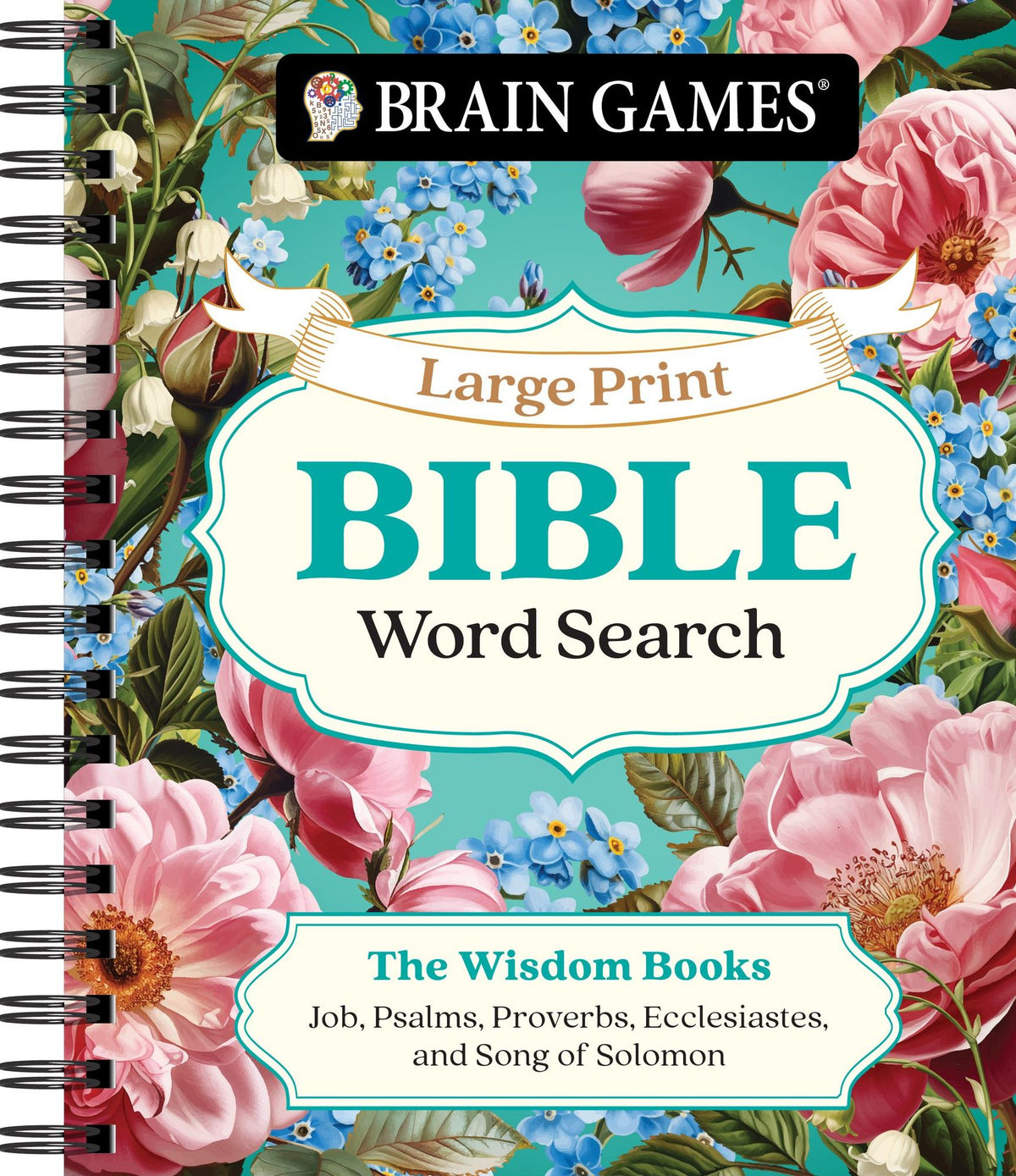 Brain Games Large Print Bible The Wisdom Books Word Search