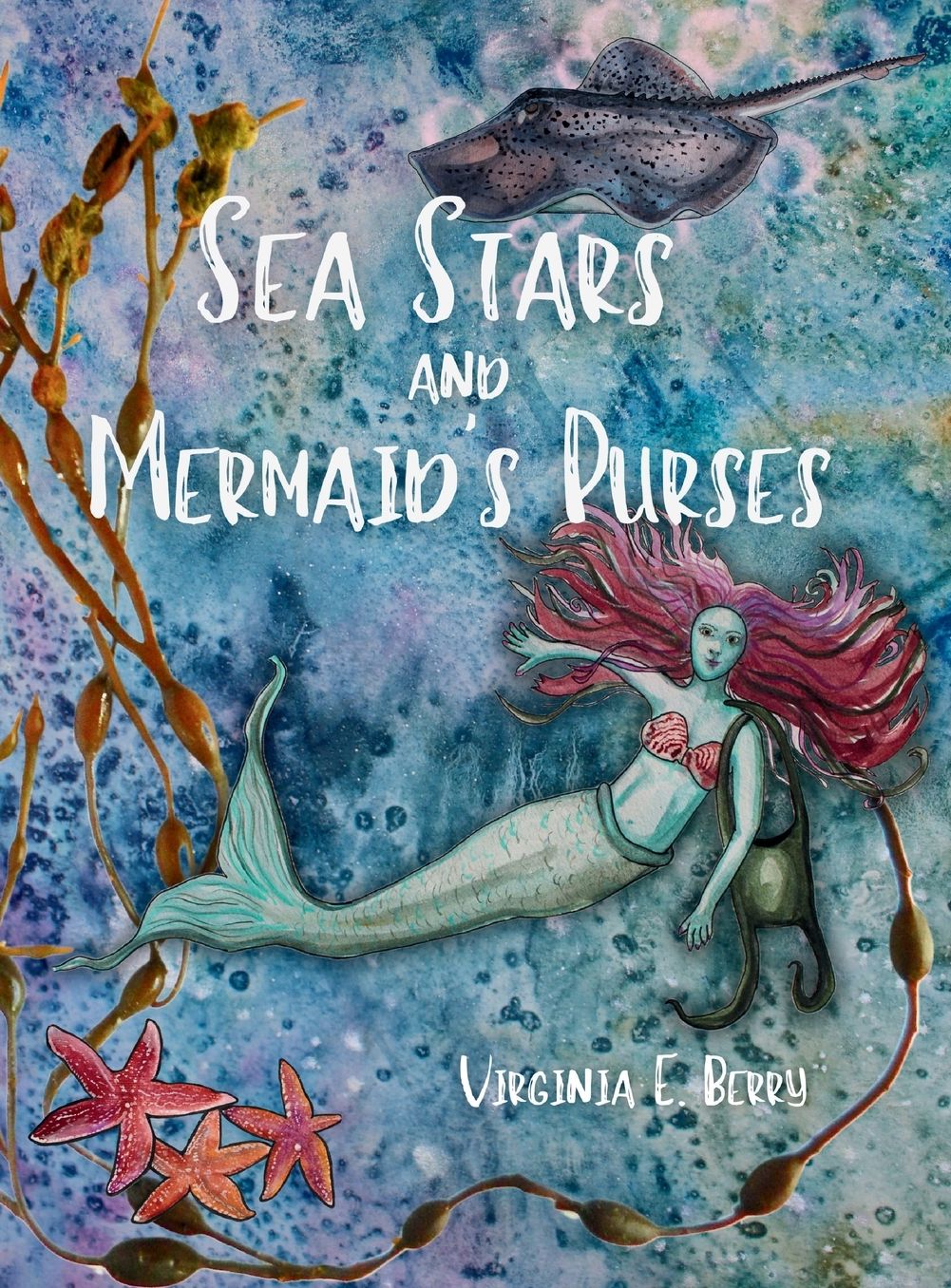 Sea Stars and Mermaid's Purses