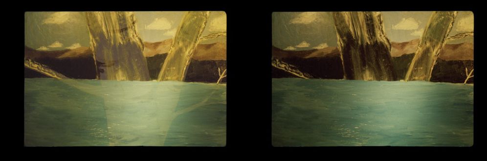 Robert Gober: Slides of a Changing Painting
