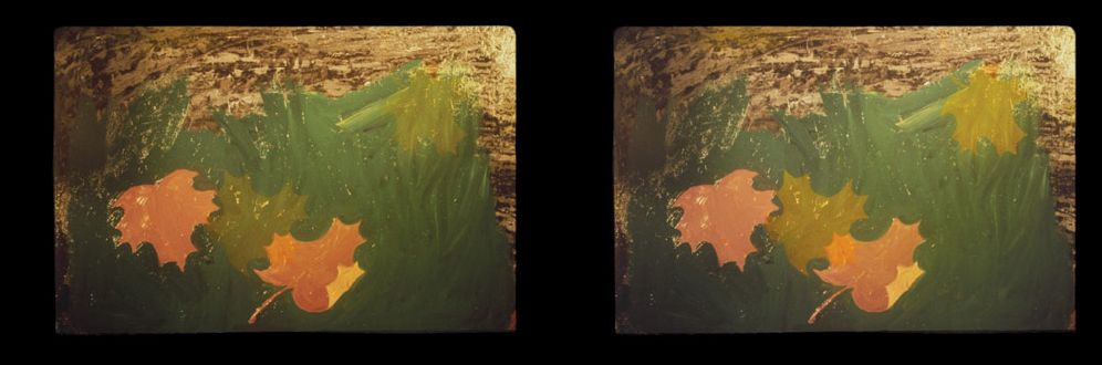 Robert Gober: Slides of a Changing Painting