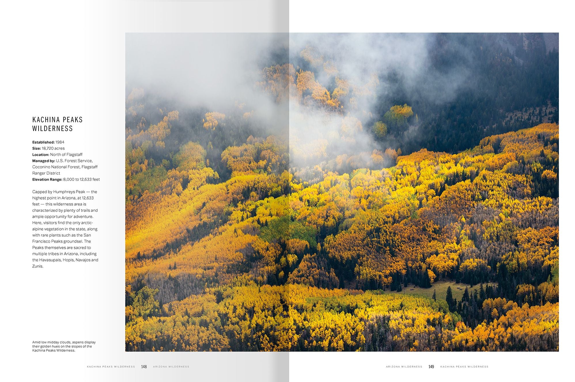 Arizona Wilderness: A Celebration of the State's 90 Most Pristine Places