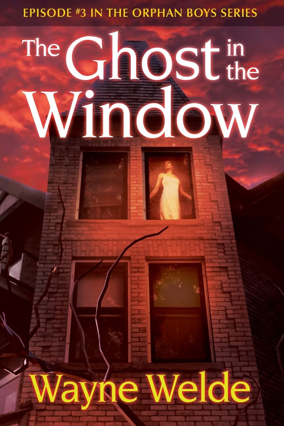 The Ghost in the Window: Episode 3 in the Orphan Boys Mysteries