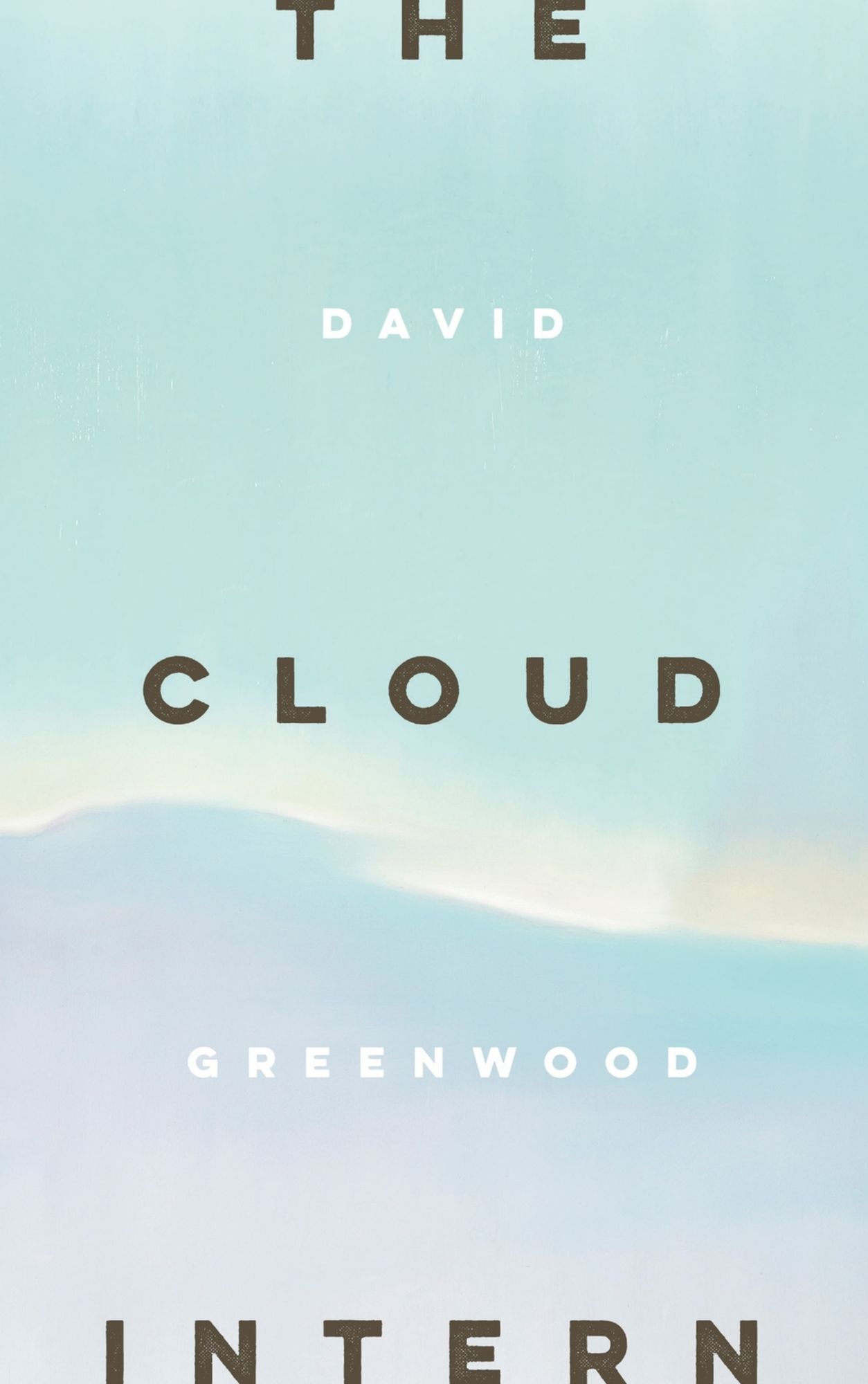 The Cloud Intern