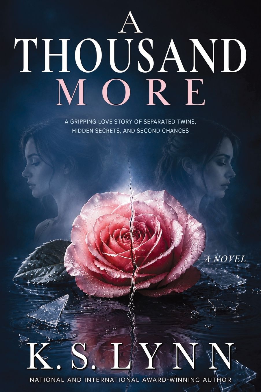 A Thousand More: A gripping love story of separated twins, hidden secrets, and second chances