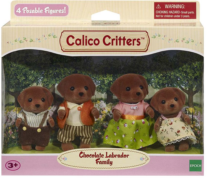 Chocolate Labrador Family