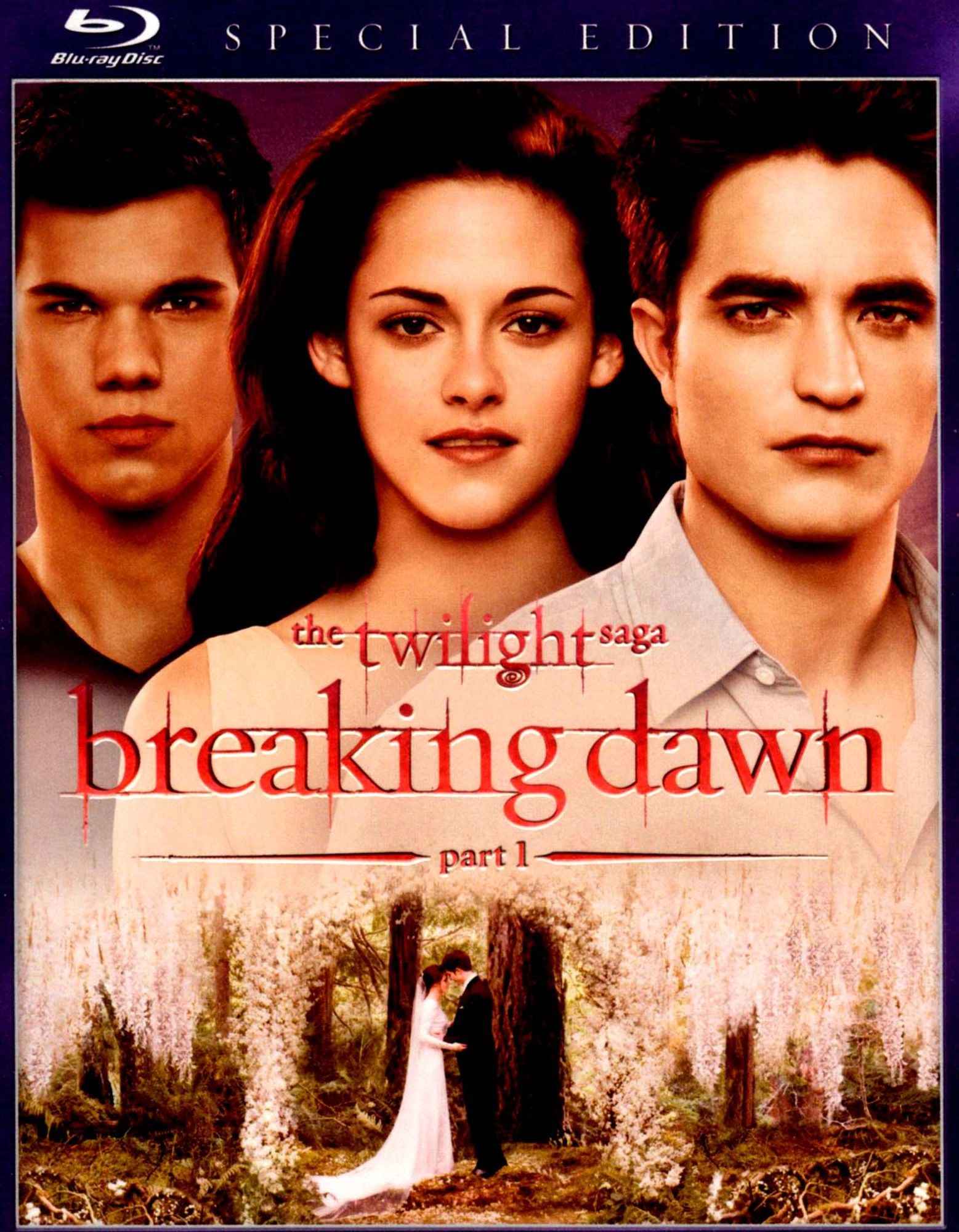 The Twilight Saga: Breaking Dawn - Part 1 [Special Edition] [Blu-ray]