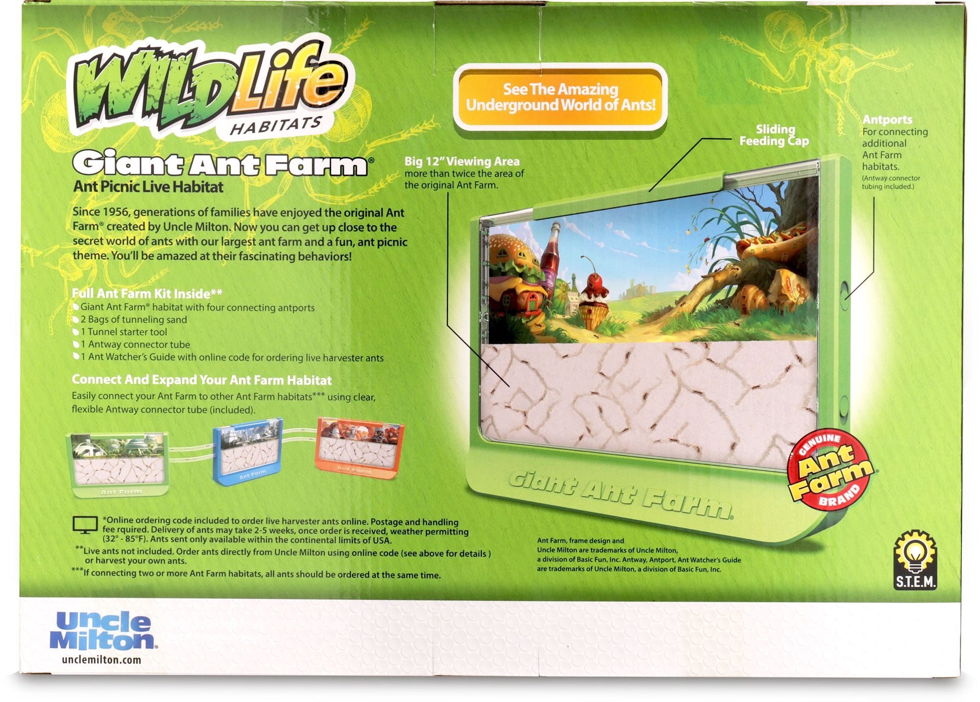 Giant Ant Farm