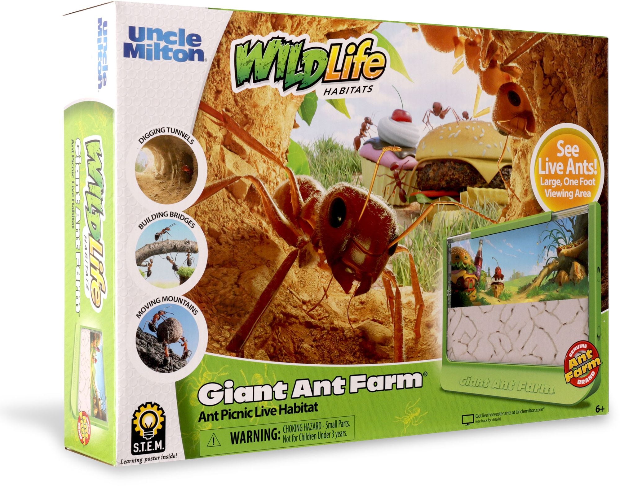 Giant Ant Farm
