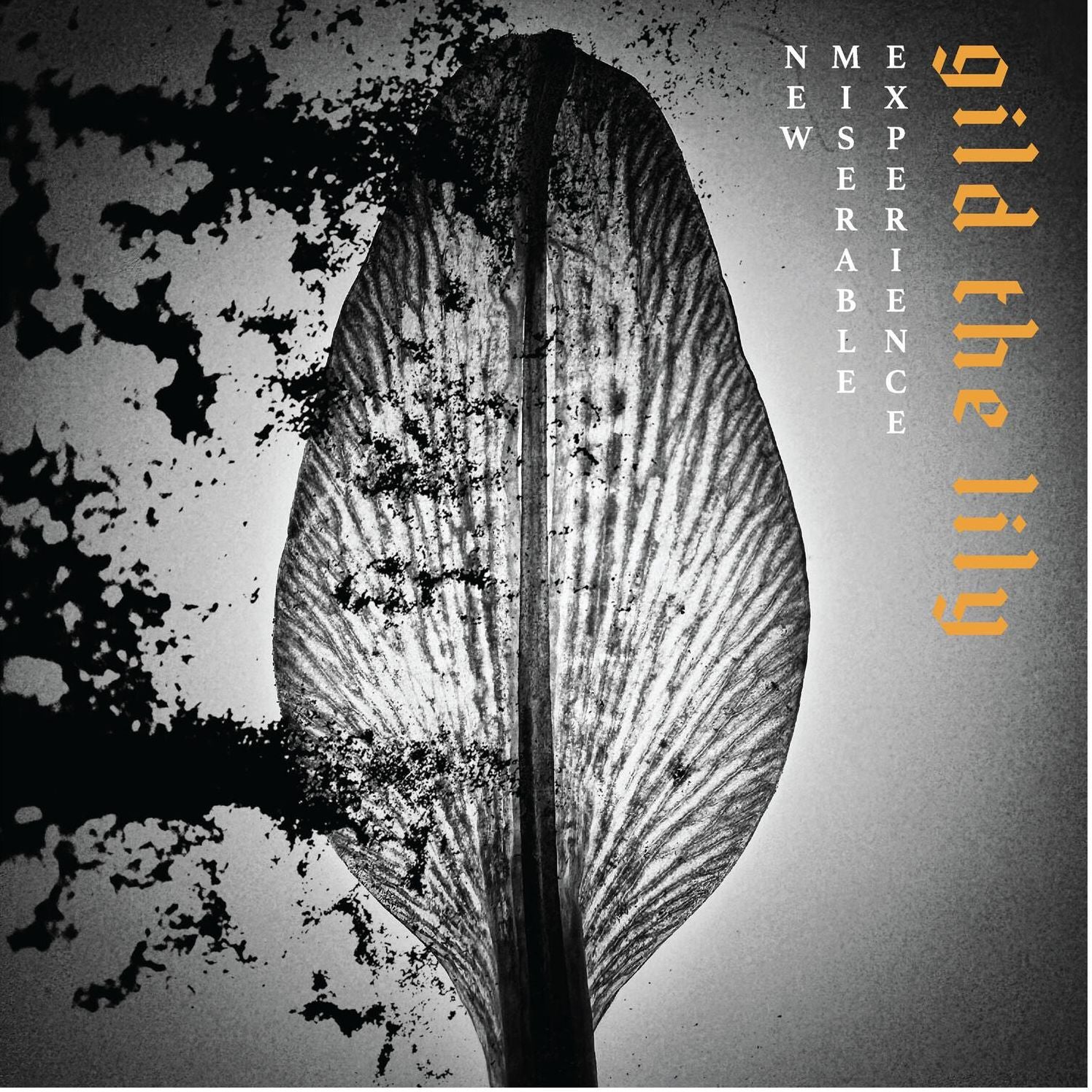 Gild the Lily