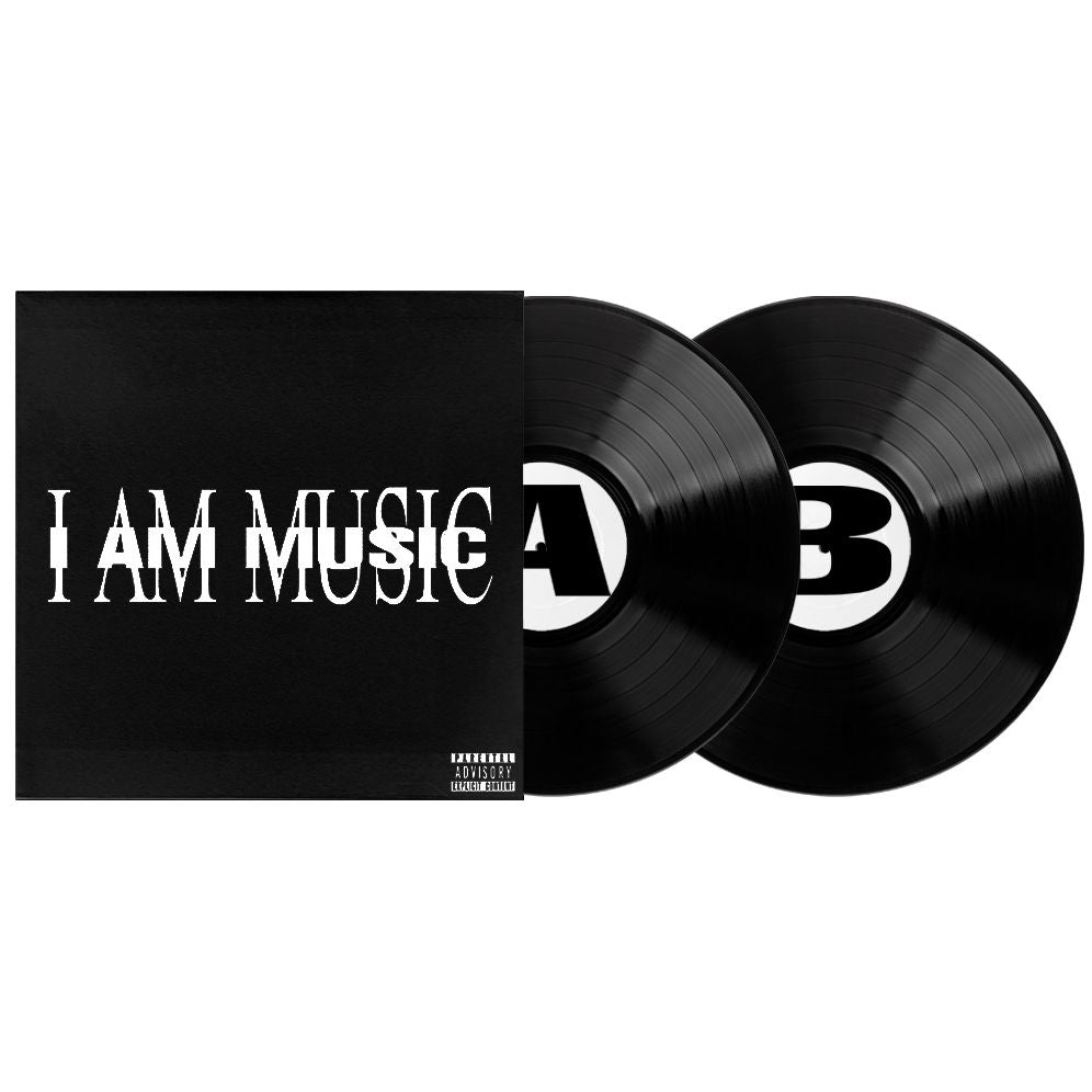 MUSIC [2 LP]