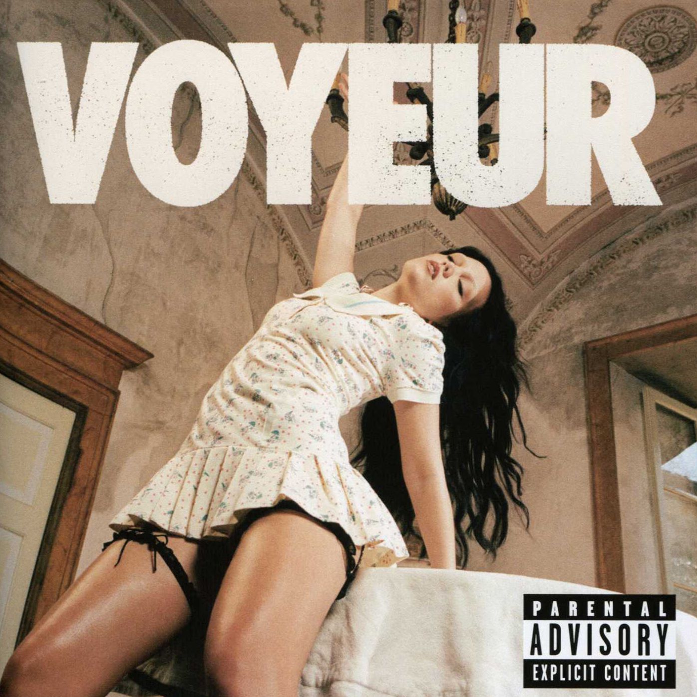 Voyeur