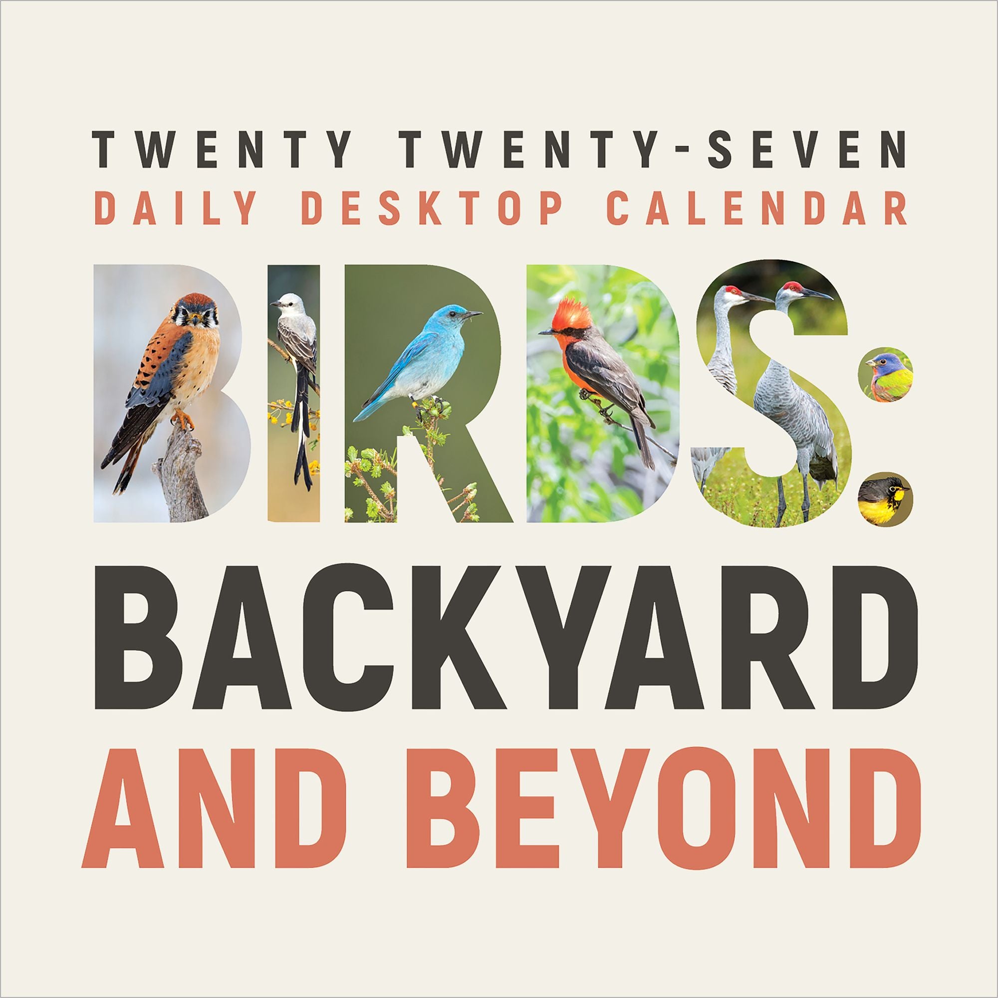 2027 Birds: Backyard & Beyond Daily Desktop Calendar